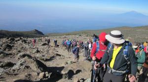 The trail of humanity